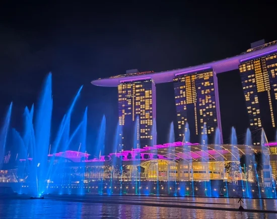 シンガポール夜景ツアーの決定版！2大ライトアップショー鑑賞　ガーデン・ラプソディー+船上からのスペクトラ